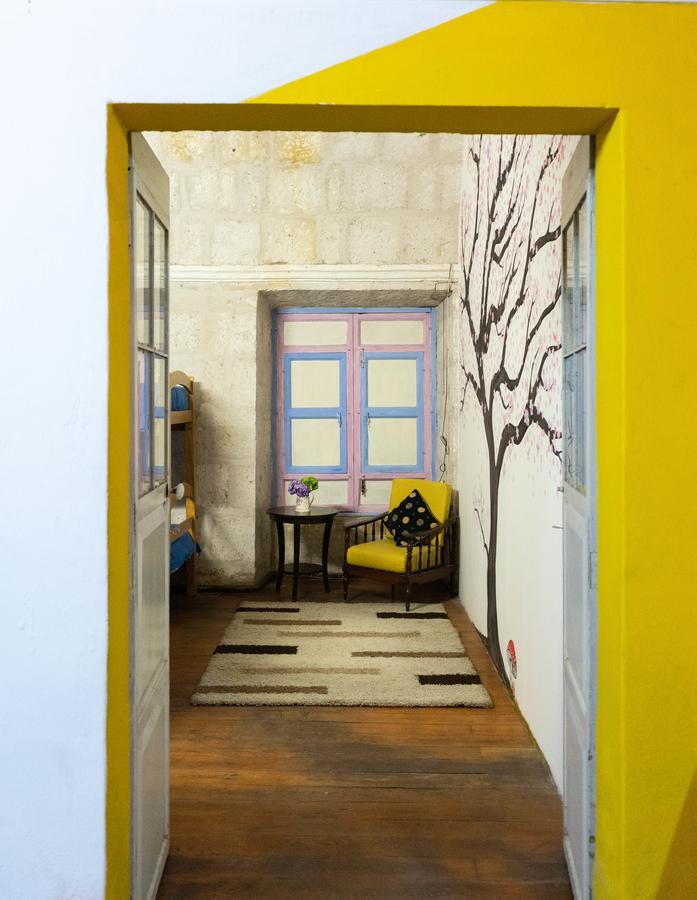 Lion Aqp Hostel Yanahuara Dış mekan fotoğraf